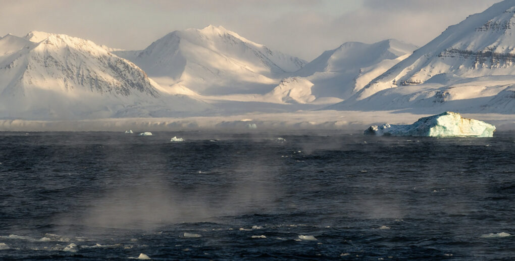 Artico, Isole Svalbard