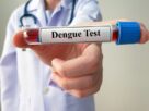 Virus dengue