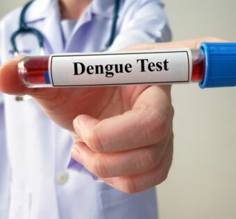 Virus dengue
